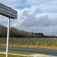 48歳、看護師を辞めてフランスへ。言葉も分からず、知り合いもない町で人生が動きはじめた「小さな習慣」とは【2025年度ベスト記事セレクション】