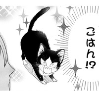 【猫視点】あの人間、よくわからないけど、ごはんをくれる言葉だけはわかる!! もっとちょうだ～い【同居人はひざ、時々、頭のうえ。 #21】