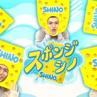 timelesz篠塚大輝、初冠番組「スポンジ・シノ」放送決定 知識や技をスポンジのように吸収