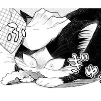 【猫視点】人間がいきなり頭をさわってきた！ みんなこうするのが好きね～【同居人はひざ、時々、頭のうえ。 #32】