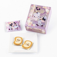 スターライトセレナーデ/ショコラサンド「見ぃつけたっ」10枚入