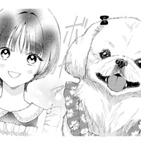 一方、ボスは仕事を淡々とこなしているものの、思い出すのは少女の事ばかり…【世話焼きマフィアと薄幸少女 #37】