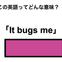 この英語ってどんな意味？「It bugs me」