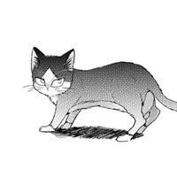 「出て行ったのは猫の意思」だけど、事故にあった両親を思い出して… もう後悔したくない!!【同居人はひざ、時々、頭のうえ。 #47】