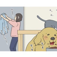 ごはんより安否確認？食事そっちのけで様子を見にくる愛犬がカワイイ【おさんぽですし！　おしゃべり犬とイライラ猫の日記 #10】