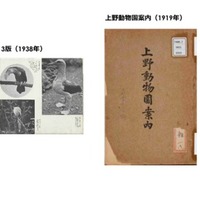 企画展示「TOKYO PENGUIN LIBRARY」東京×ペンギン コーナー