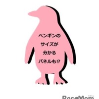 企画展示「TOKYO PENGUIN LIBRARY」