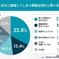 Q3. お子さまが二度寝してしまう原因は何だと思いますか？