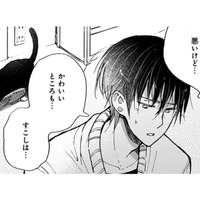 【猫視点】私の役目、わかってるから!! あなたをちゃんと守ってあげるから、安心しなさいよねっ！【同居人はひざ、時々、頭のうえ。 #54】