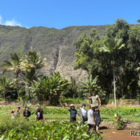 SOSHI Aloha Camp 敷地内