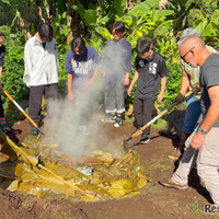 伝統的な地中蒸し料理をするようす