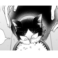 【猫視点】人間が首に何かつけてきた。なんだかやな感じ。だけど安心もする… まあいいか♪【同居人はひざ、時々、頭のうえ。 #62】