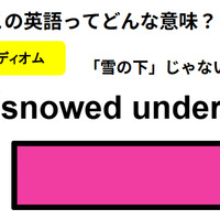 この英語ってどんな意味？「snowed under」