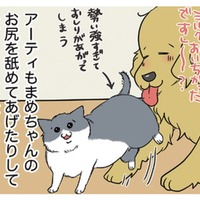 わが家に加わった生後10日くらいの仔猫は女の子。愛犬もせっせと子育てのお手伝い【おさんぽですし！　おしゃべり犬とイライラ猫の日記 #19】