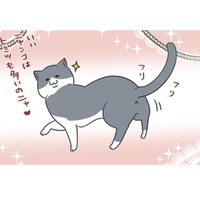 「愛猫の一日」ひとり時間を好み、自由気ままな暮らしぶり。飼い主にとってもミステリアス【おさんぽですし！　おしゃべり犬とイライラ猫の日記 #21】