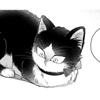 【猫視点】ぐったりしてると犬が話しかけてきた。あの子が私の事を心配してる？家族って何？【同居人はひざ、時々、頭のうえ。 #71】