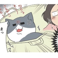 お気に入りの場所から絶対に動きたくない愛猫。漬物石より重たくなるのはなぜ？【おさんぽですし！　おしゃべり犬とイライラ猫の日記 #23】