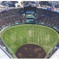 第98回選抜高等学校野球大会