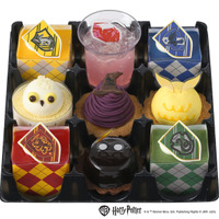 ＜ハリー・ポッター＞スイーツ缶（12個入）