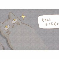 みんなでパン作り。生地を寝かせて、どんな夢を見る？【夜が明けるとき猫がそばにいれば #12】