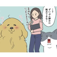カラスの巣作りの季節到来。静かに様子を眺める猫と犬…実はビビってただけ？【おさんぽですし！　おしゃべり犬とイライラ猫の日記 #29】