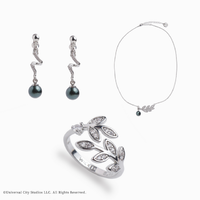 スペシャルオーダーシルバーセット（Silver925/受注生産）