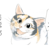 「おはよう」笑顔でお出迎えしてくれる看板猫のミケちゃん。今日も穏やかな１日が始まる【続 ミケちゃんとやすらぎさん #１】