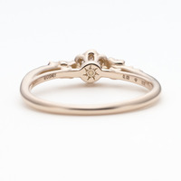 Sunlit Blossom　［サンリット ブロッサム ‐光に導かれて‐］