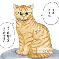 老犬の柴犬に嫁いできたという不思議な猫。気品溢れる「マドレーヌ夫人」とは？【かのこちゃんとマドレーヌ夫人 #１】