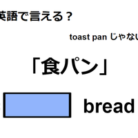 英語で「食パン」は何て言う？