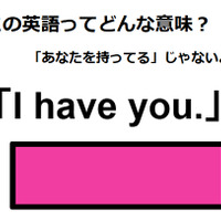 この英語ってどんな意味？「I have you.」