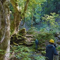 ドキュメンタリー映画『WITH』©2026 映画「WITH」製作委員会