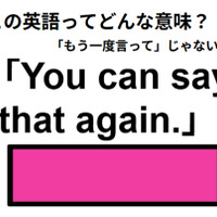 この英語ってどんな意味？「You can say that again.」
