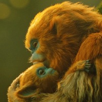 『OCHI！-オチ-』© 2024 KURKAMART LLC AND IPR.VC FUND II KY. ALL RIGHTS RESERVED.