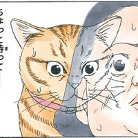 いつの間にかしっぽが２本に…動揺していたら人間にぶつかり、猫と人が入れ替わる!?【かのこちゃんとマドレーヌ夫人 #９】