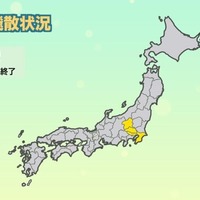 花粉の飛散状況（2月16日更新）