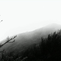 『悲しくて美しい世界／THIS IS SPARKLEHORSE』