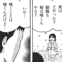 昔から家族で通っている神戸の穴場スポットでお花見。夫に北海道の花見について尋ねると？【北のダンナと西のヨメ #６】