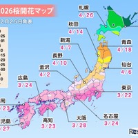 2026年桜開花マップ
