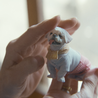 『犬も歩けば』