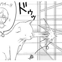 こわがりな弟のため、虫を退治したねこまた！ 一緒に障子が破れて、兄に怒られそう…【ウチの百鬼夜行 #９】