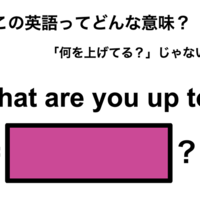 この英語ってどんな意味？「What are you up to?」