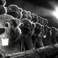 『FEVER ビーバー！』© 2022 SABLJAK RAVENWOOD HOGERTON