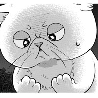 魔術師が作った液体をかけられたら、猫になっちゃった！早く神殿に帰りたい！【根暗騎士による溺愛満喫中のブサ猫、実は聖女です！#19】