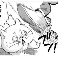 「ぶっさいくな猫だなぁ」神殿に入りたいのに、門番に冷たく追い払われる！【根暗騎士による溺愛満喫中のブサ猫、実は聖女です！#20】