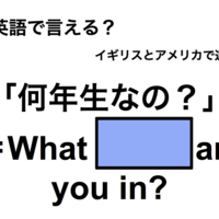 英語で「何年生なの？」は何て言う？