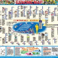 「一家に1枚　ヒトゲノムマップ」