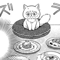 お風呂に入れてもらって体がふわふわ！お腹が空いたと思ったら豪華なごちそうまで！【根暗騎士による溺愛満喫中のブサ猫、実は聖女です！#26】