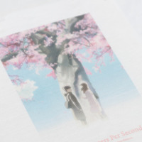 『秒速5センチメートル』×  FCW 桜花抄T　■価格：¥7,700（税込) ■サイズ：M / L / XL / XXL