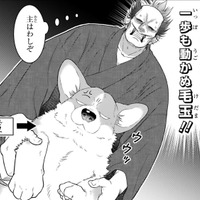 「犬を飼ってやしないだろうね？」大家にバレたら追い出される…この奔放な家臣を守らねば【殿と犬 #３】